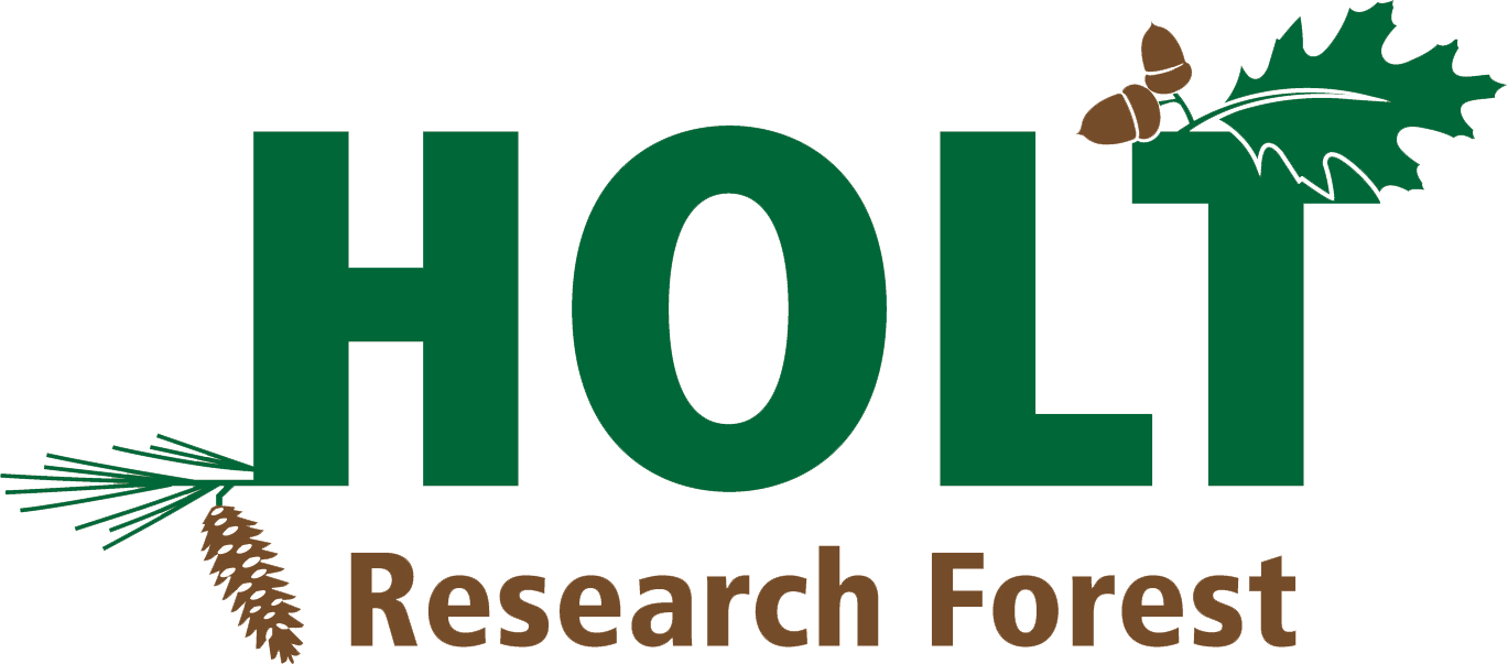 Holt Research Forest